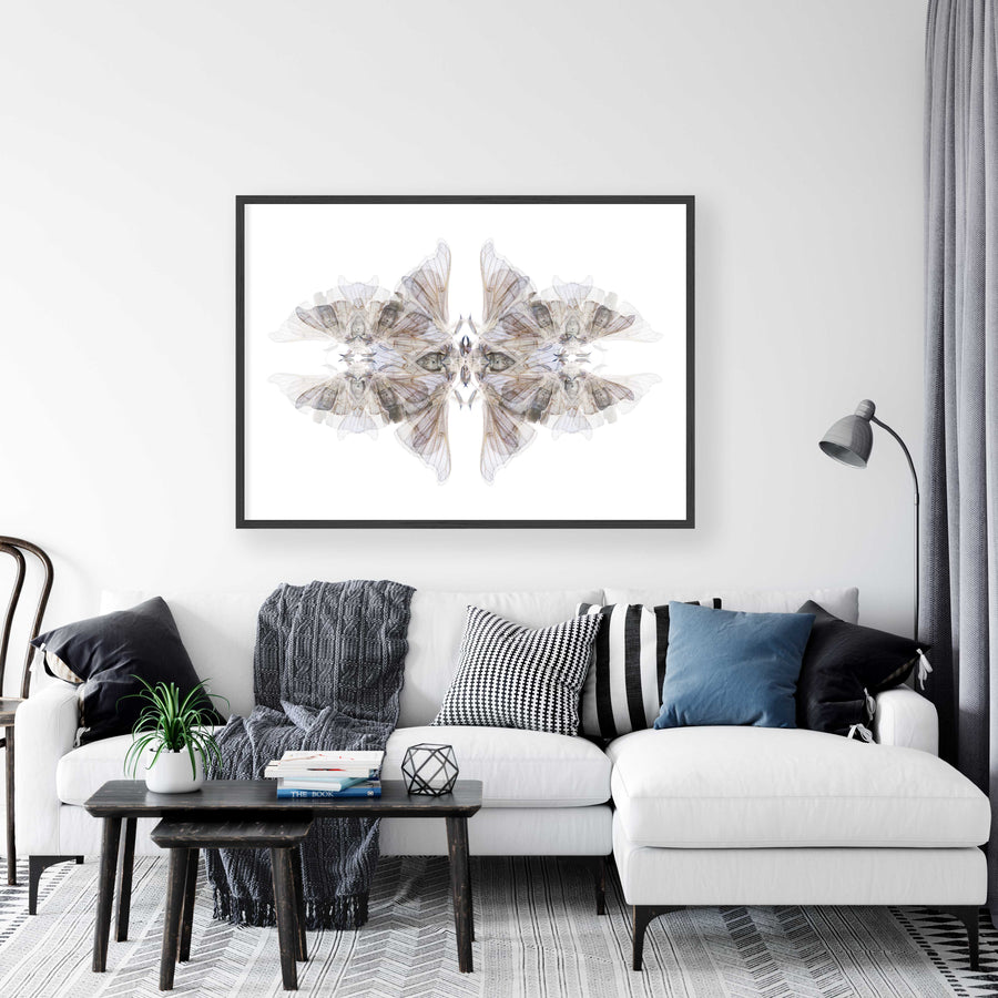 Silk Moth Pattern Fine Art Print