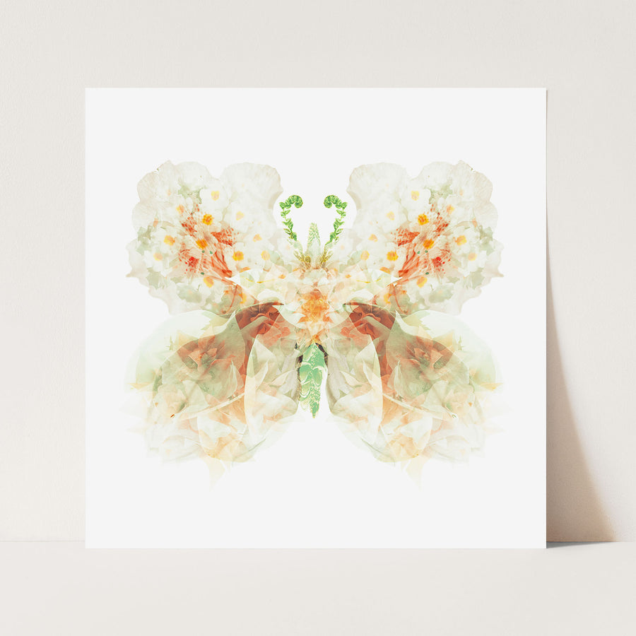 White Apricot Floral Butterfly | Paper and Flower | Art Print