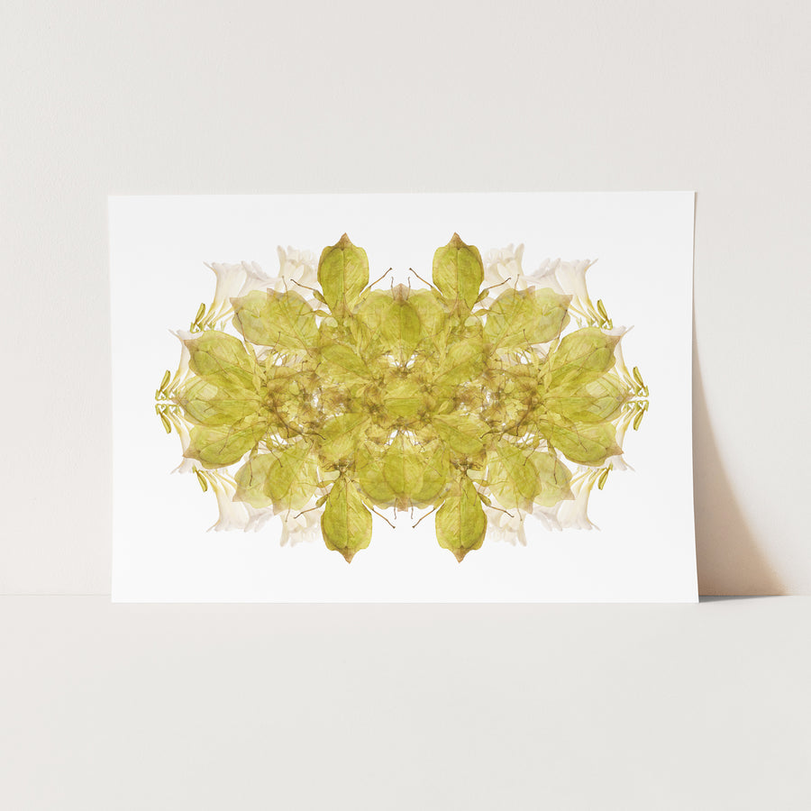 Green Insect Pattern Fine Art Print