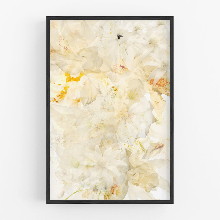 White Garden on Paper | Paper and Flower Art Print