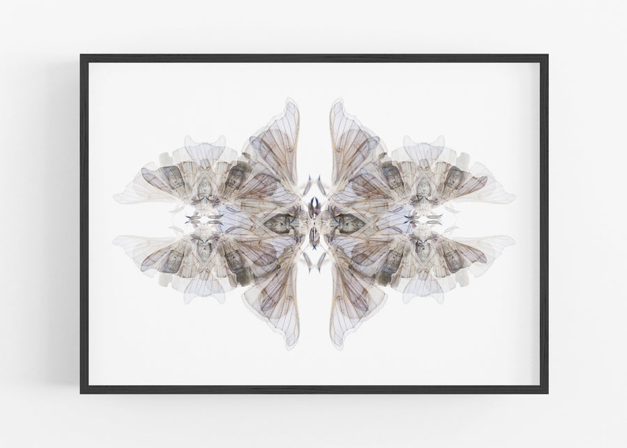 Blue Moth Pattern | Paper and Flower | Floral Art Print