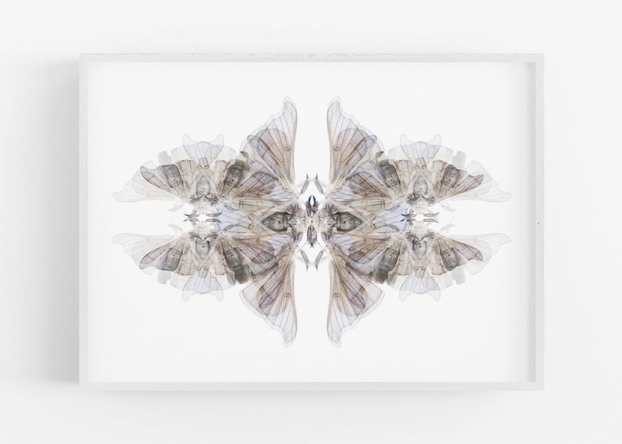 Blue Moth Pattern | Paper and Flower | Floral Art Print