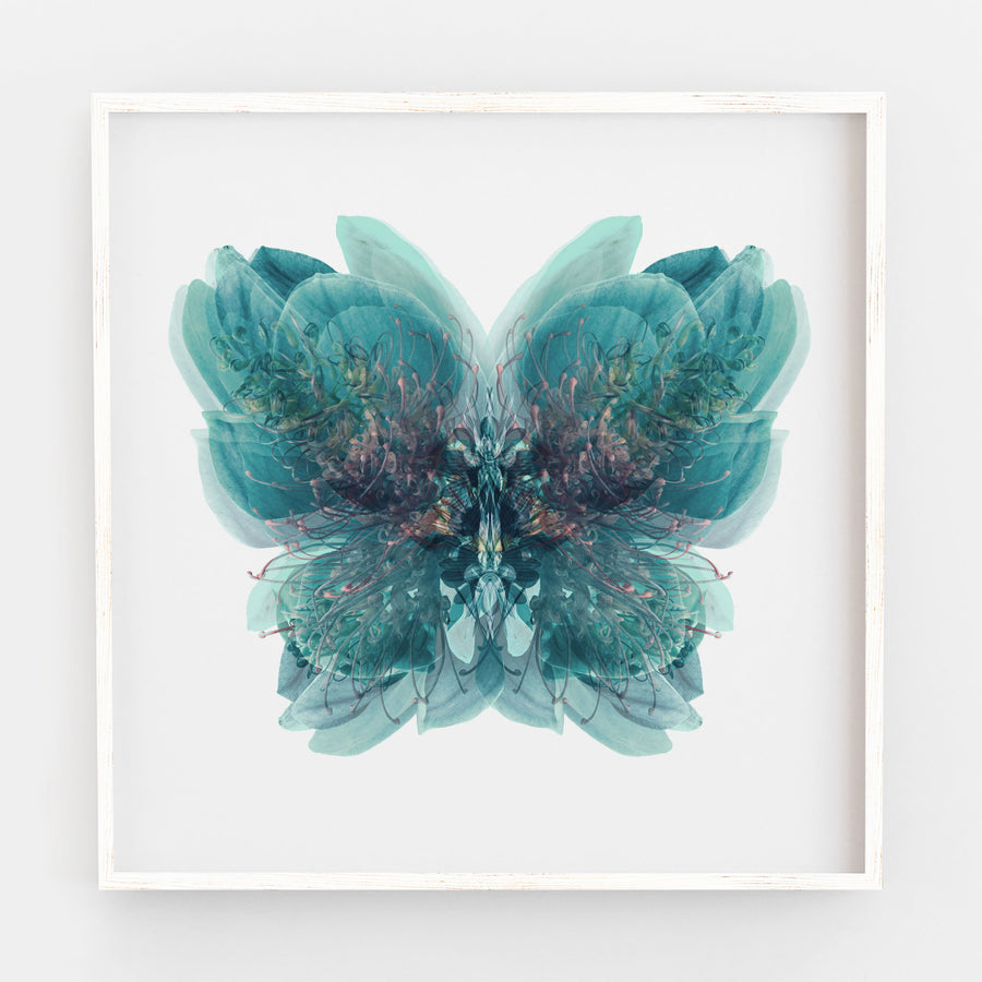 Blue Butterfly | Paper and Flower | Floral Art Print