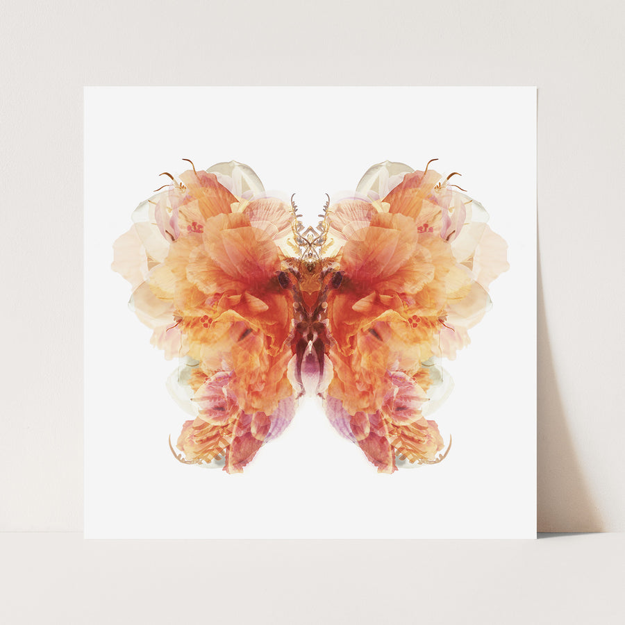 Burnt Orange Floral Butterfly | Paper and Flower | Art Print