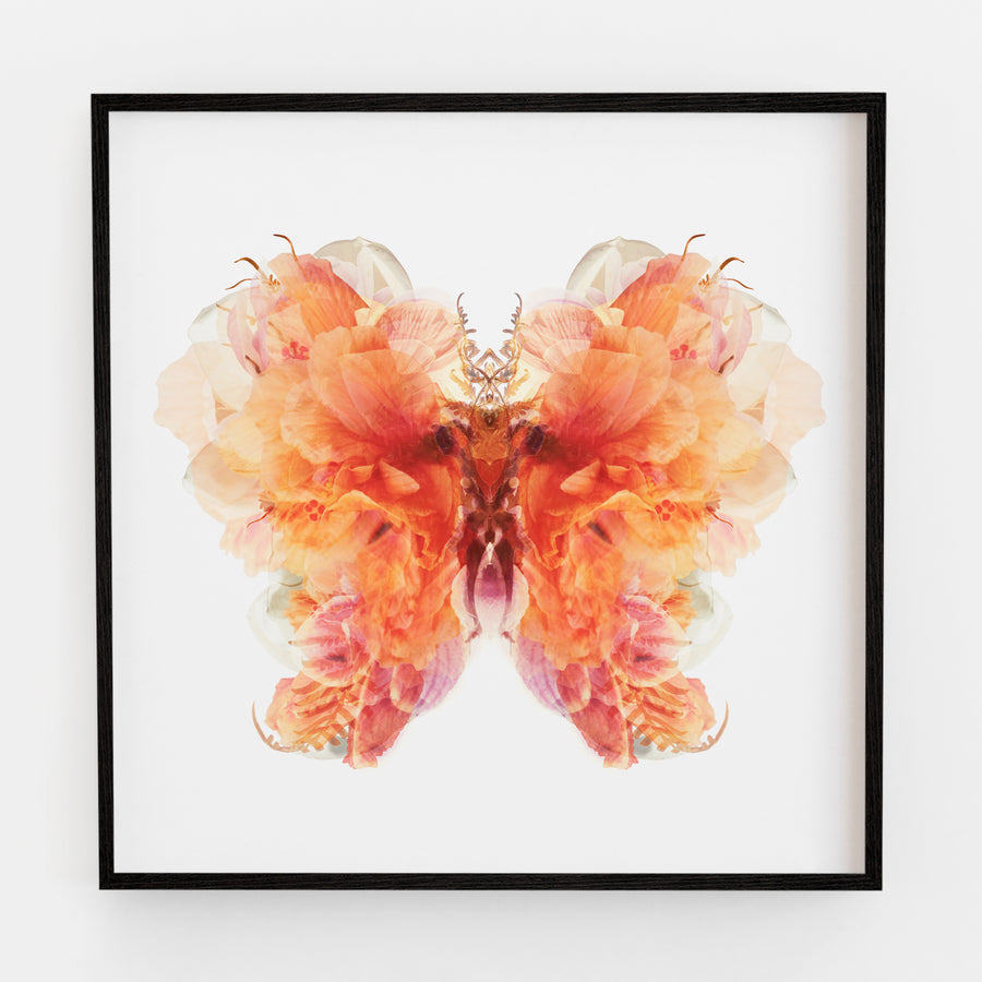 Burnt Orange Floral Butterfly | Paper and Flower | Art Print
