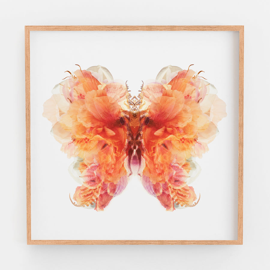Burnt Orange Floral Butterfly | Paper and Flower | Art Print