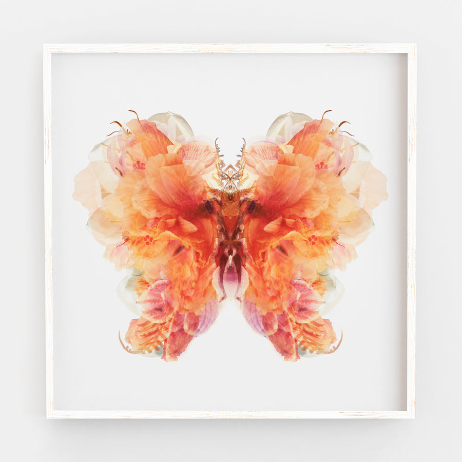 Burnt Orange Floral Butterfly | Paper and Flower | Art Print