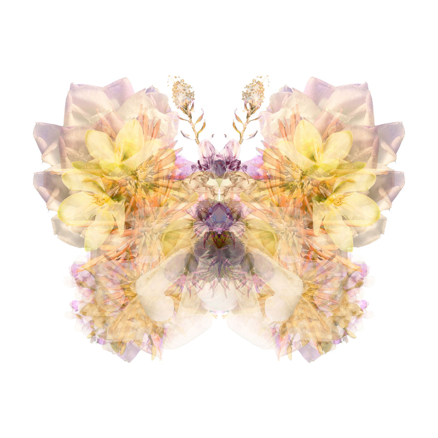 Lilac Floral Butterfly | Paper and Flower | Floral Art Print