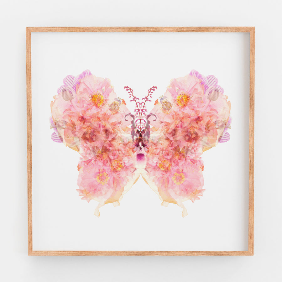 Pink Butterfly | Paper and Flower | Floral Art Print