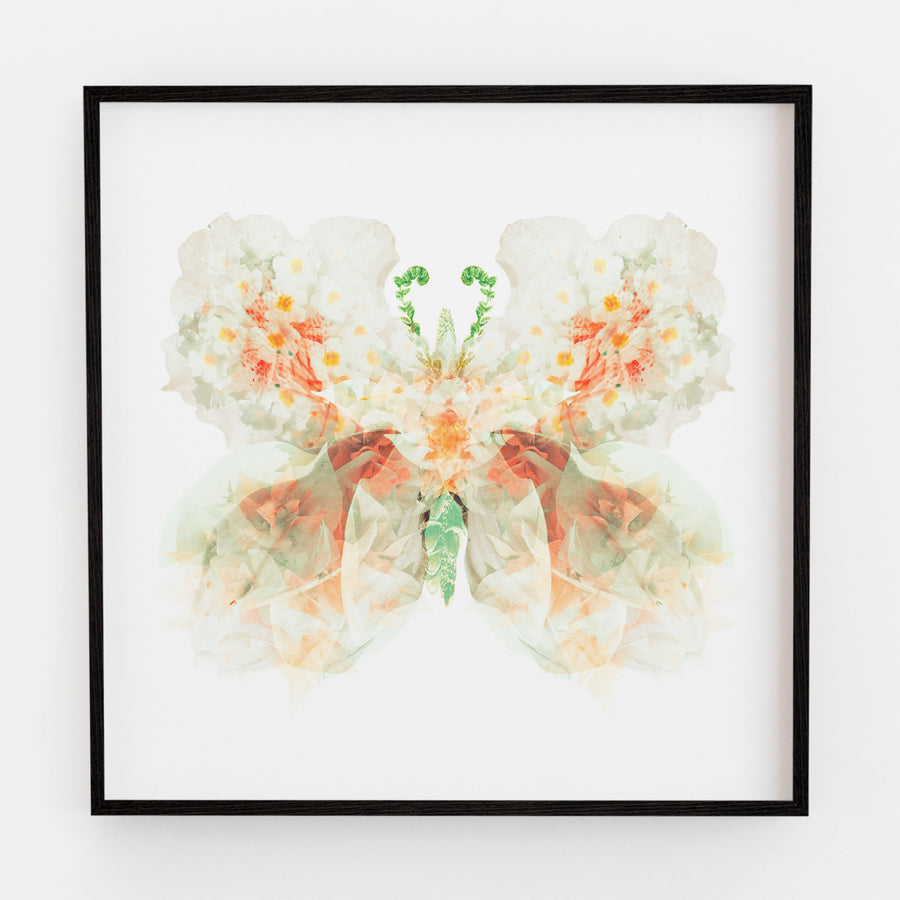 White Apricot Floral Butterfly | Paper and Flower | Art Print