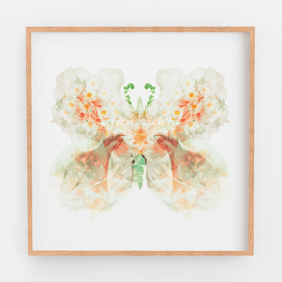 White Apricot Floral Butterfly | Paper and Flower | Art Print