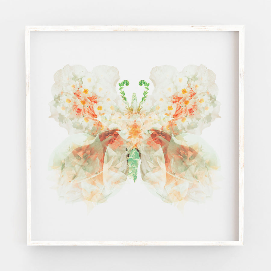 White Apricot Floral Butterfly | Paper and Flower | Art Print