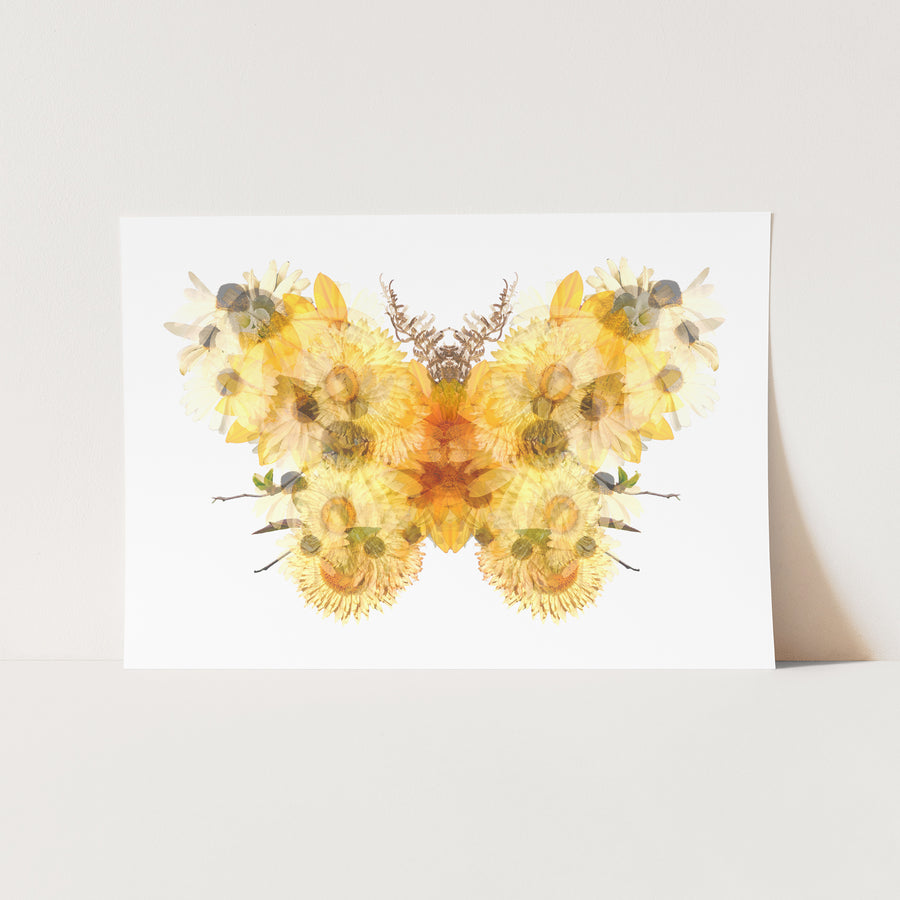 Yellow Floral Butterfly Fine Art Print