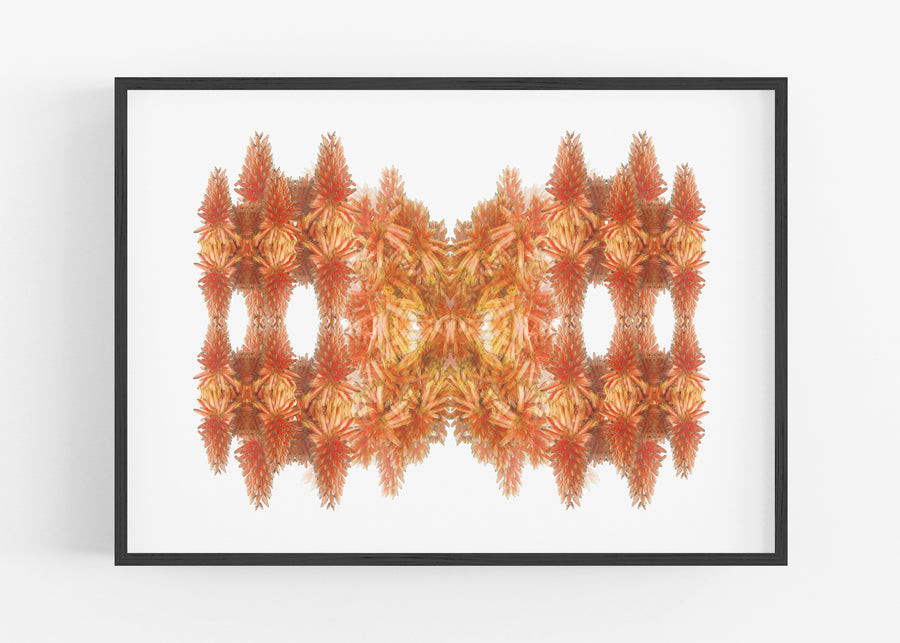 Orange Cactus Pattern Art Print | Paper and Flower | Floral Art Print