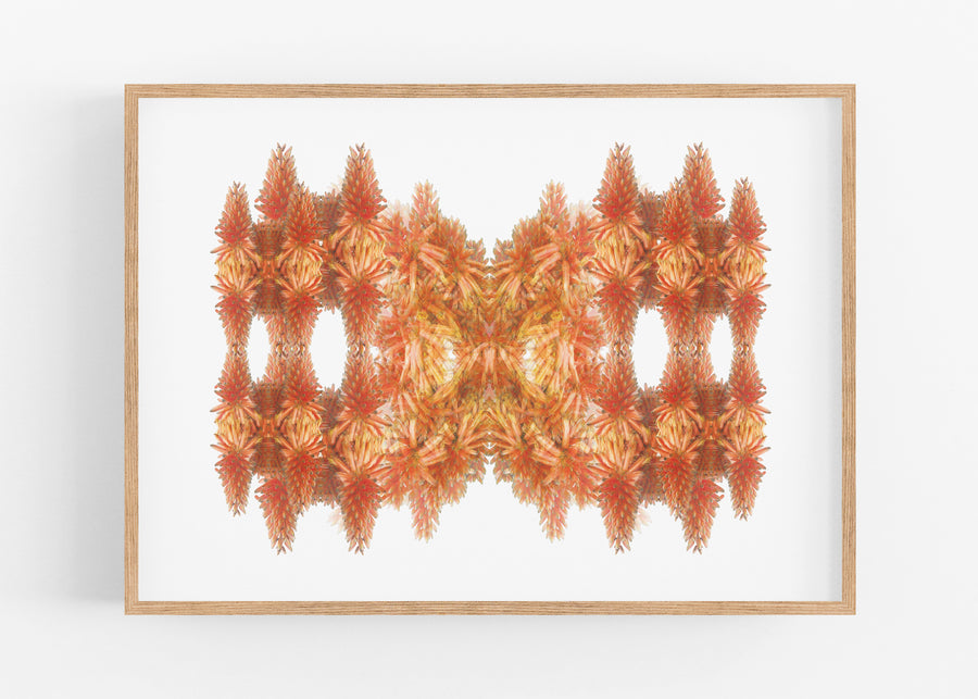 Orange Cactus Pattern Art Print | Paper and Flower | Floral Art Print