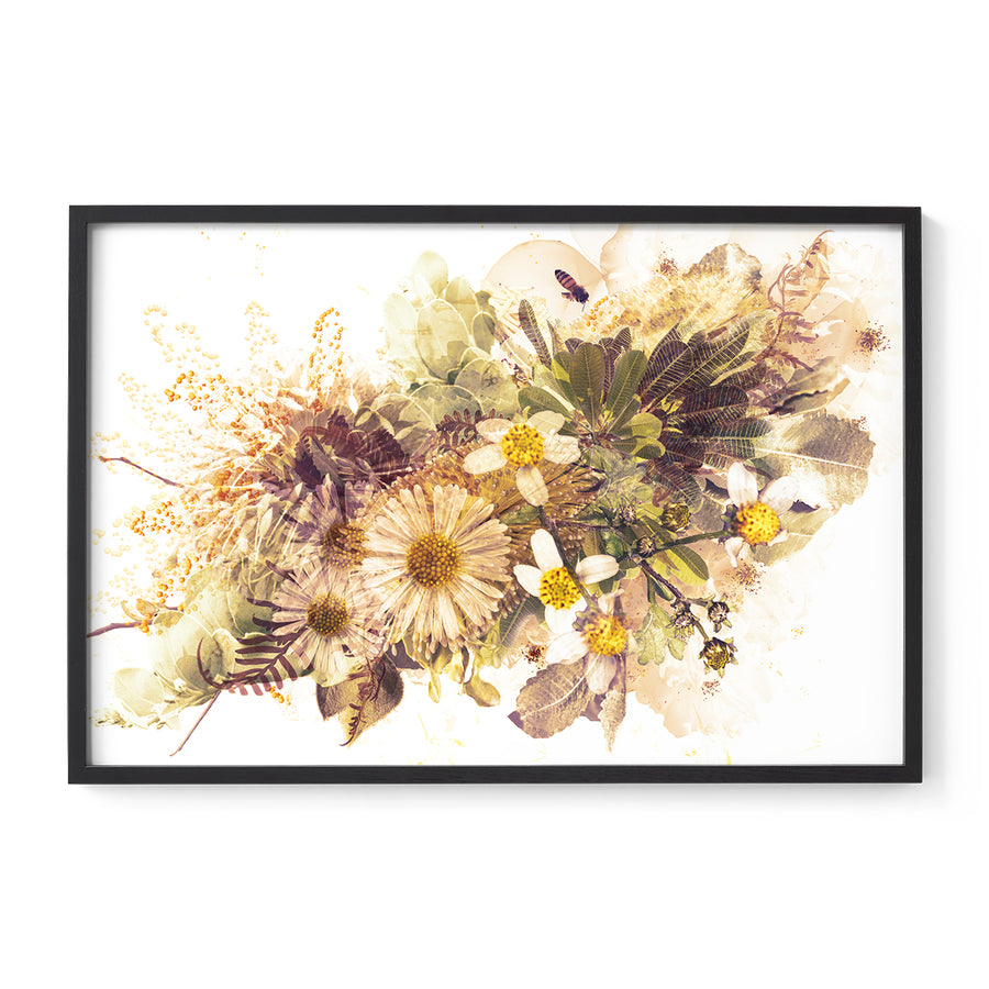 Caramel Native Flower Fine Art Print