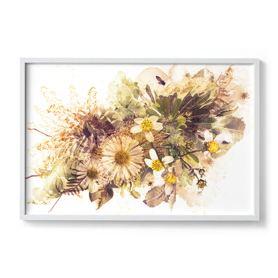 Caramel Native Flower Fine Art Print