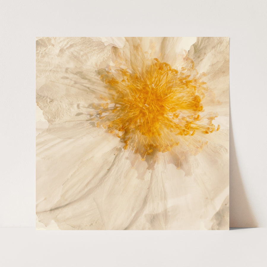 Egg Flower Heart | Paper and Flower | Floral Art Print