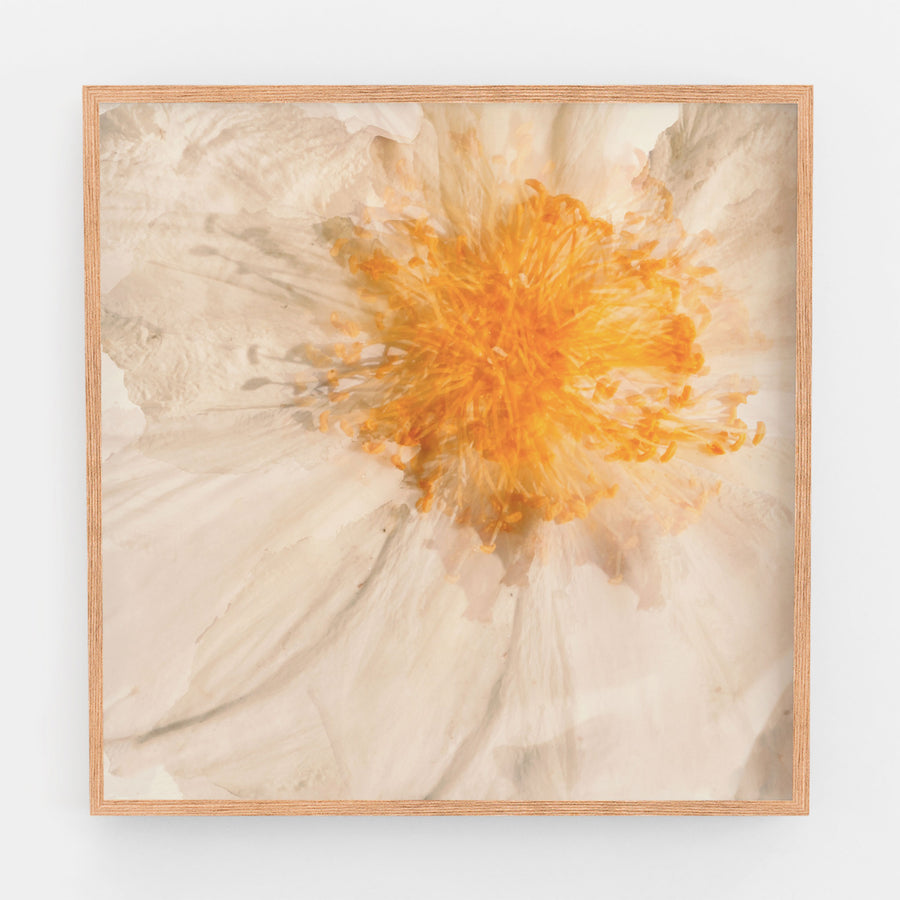 Egg Flower Heart | Paper and Flower | Floral Art Print