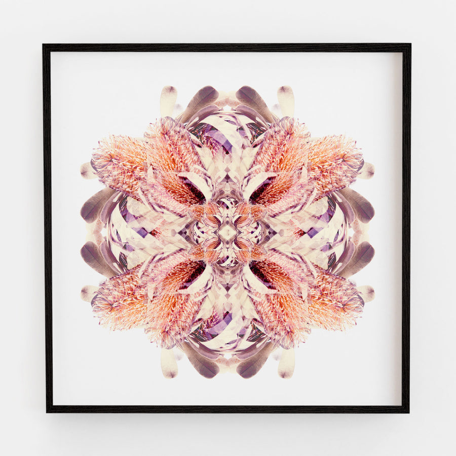 Banksia Flower Mandala Fine Art Print