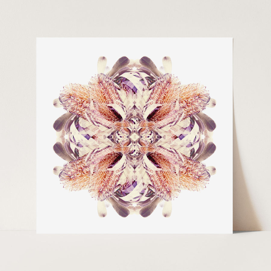 Banksia Flower Mandala Pattern | Paper and Flower | Floral Art Print
