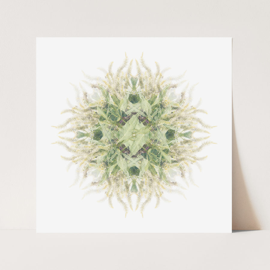 Green and White Vine Pattern | Paper and Flower | Floral Art Print