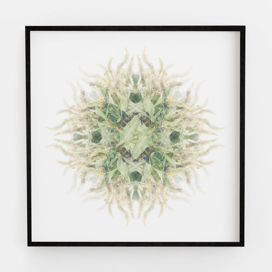 Green and White Vine Pattern | Paper and Flower | Floral Art Print