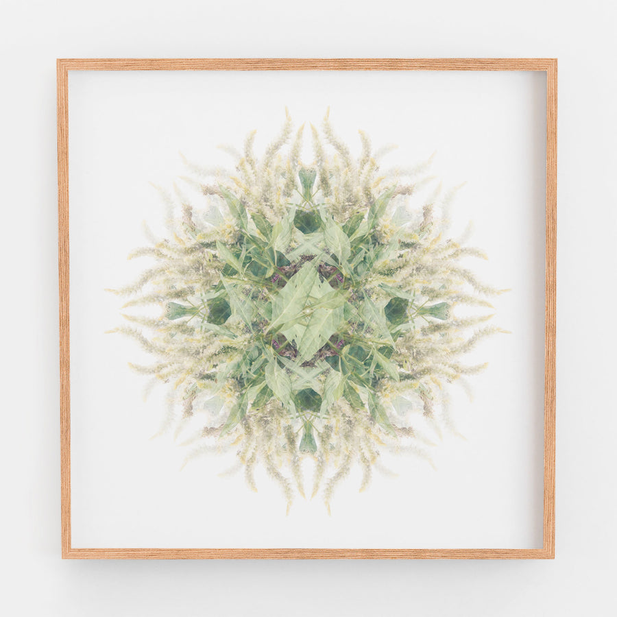 Green and White Vine Pattern | Paper and Flower | Floral Art Print