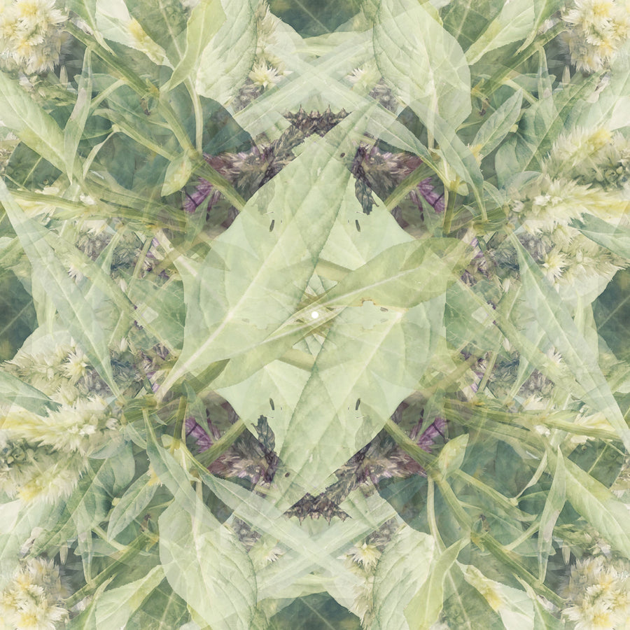 Green and White Vine Pattern | Paper and Flower | Floral Art Print