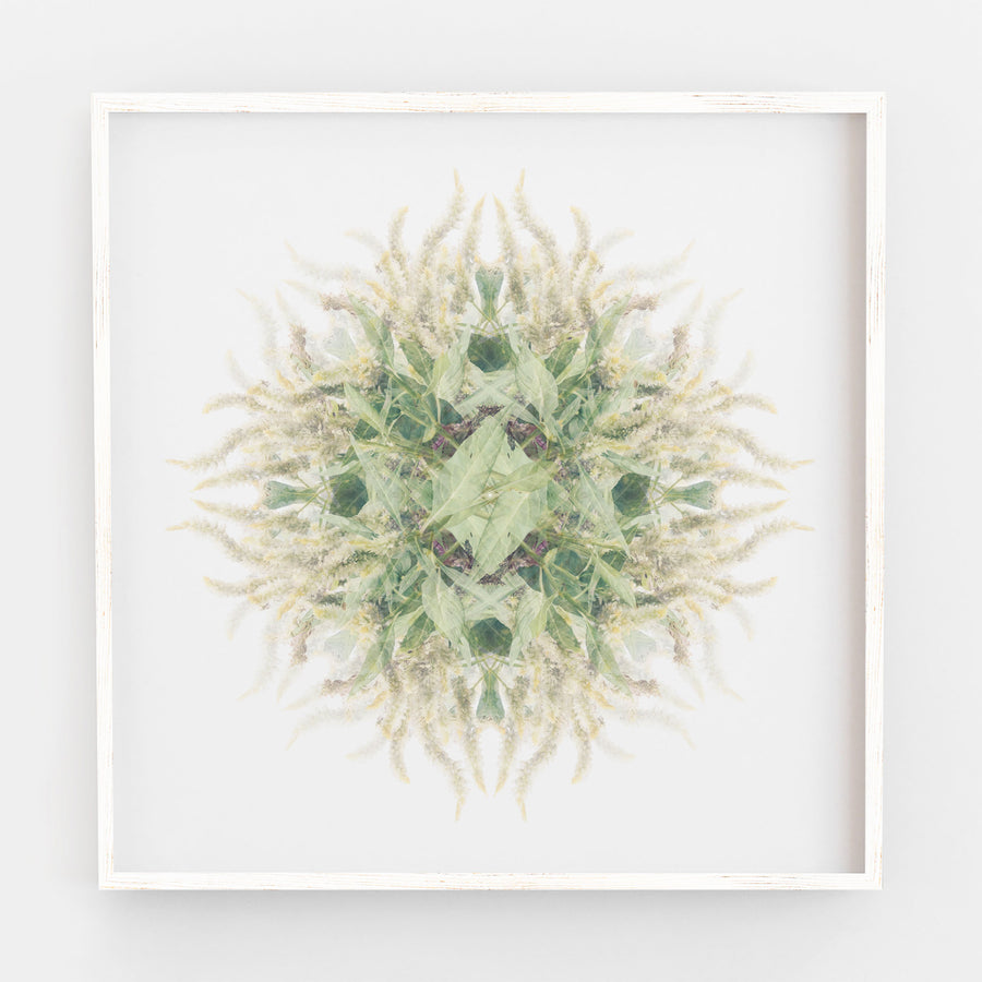 Green and White Vine Pattern | Paper and Flower | Floral Art Print