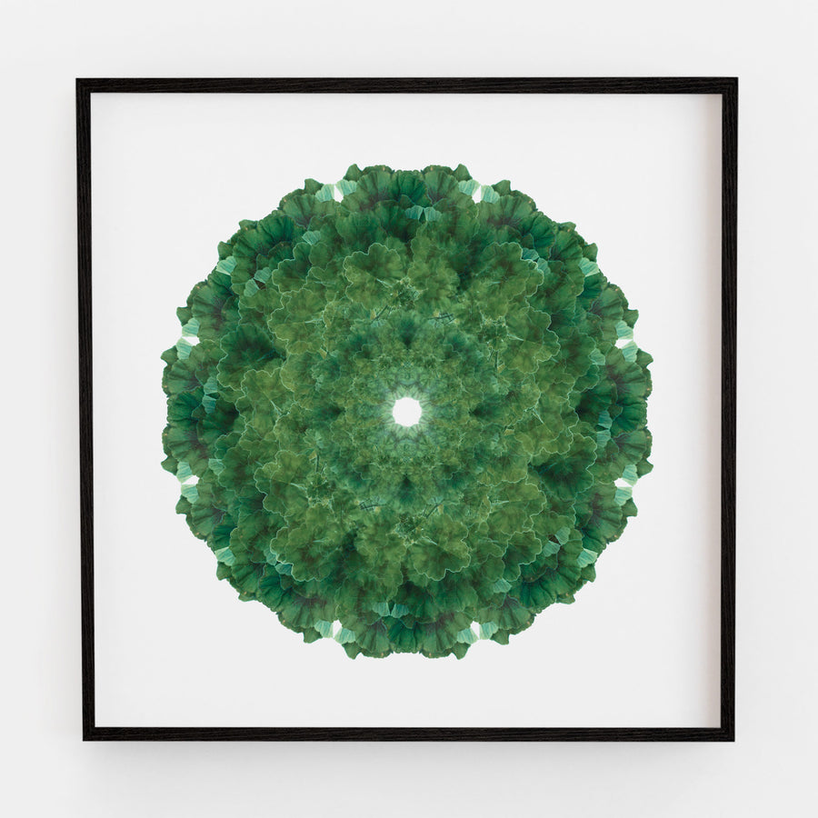 Green Geranium Mandala Pattern | Paper and Flower 