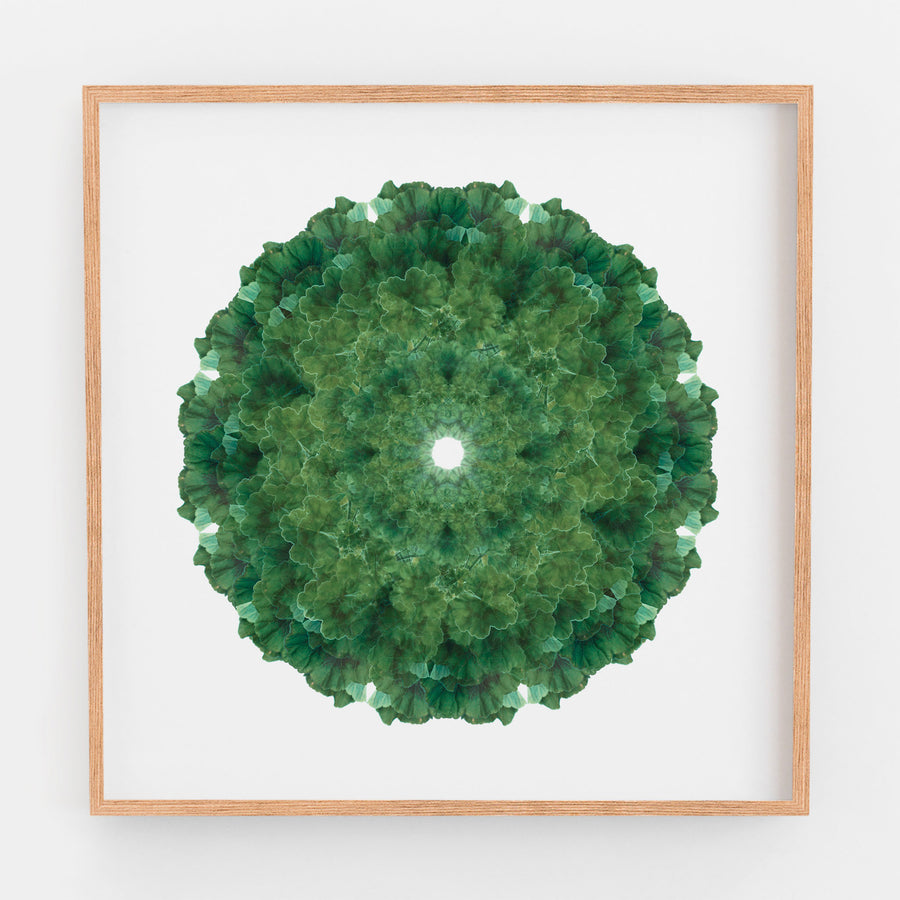 Green Geranium Mandala Pattern | Paper and Flower 