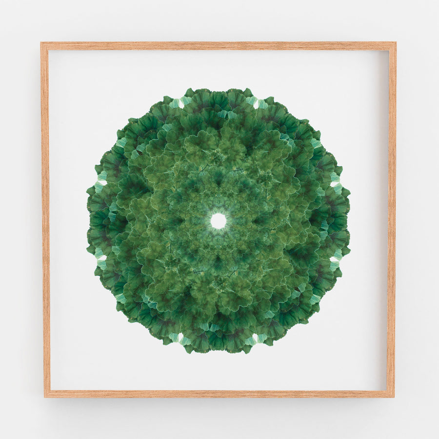 Green Geranium Mandala Pattern | Paper and Flower 