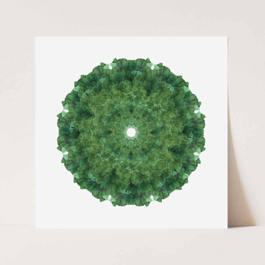 Green Geranium Mandala Pattern | Paper and Flower 