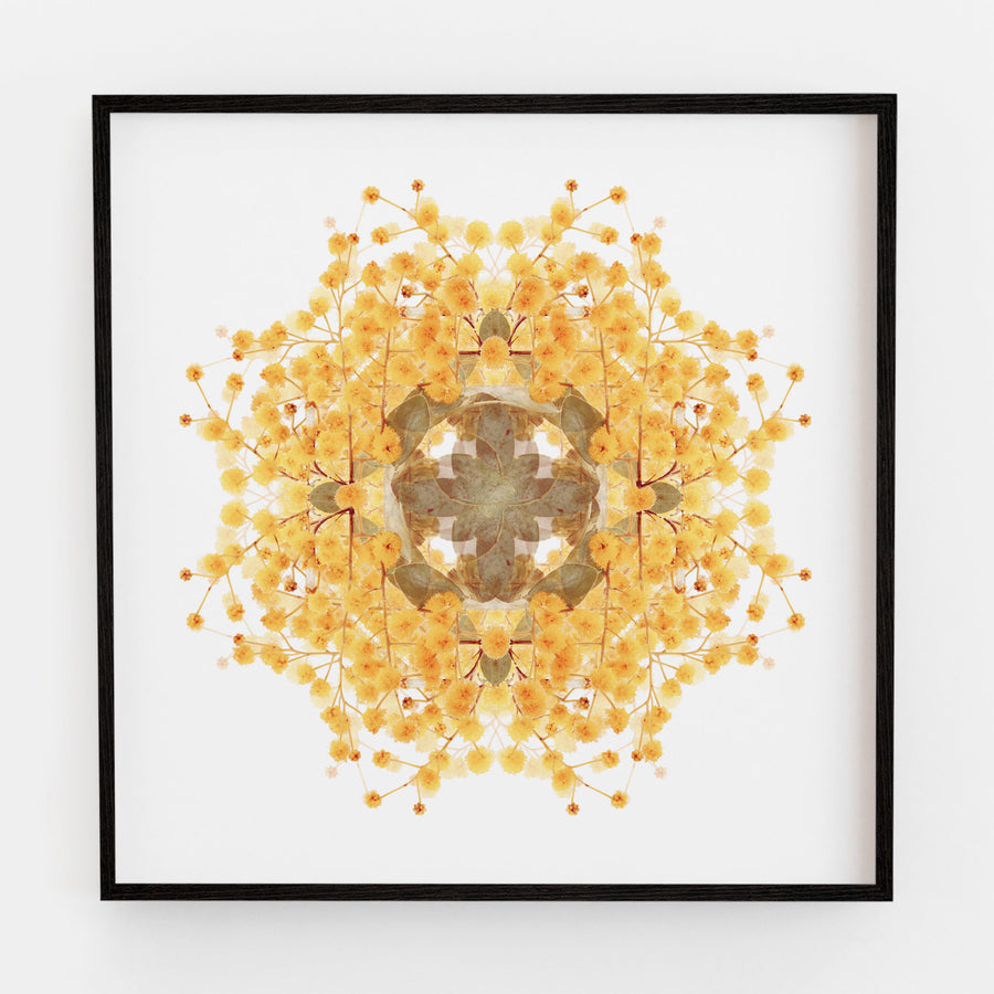 Wattle Flower Pattern | Paper and Flower | Floral Art Print