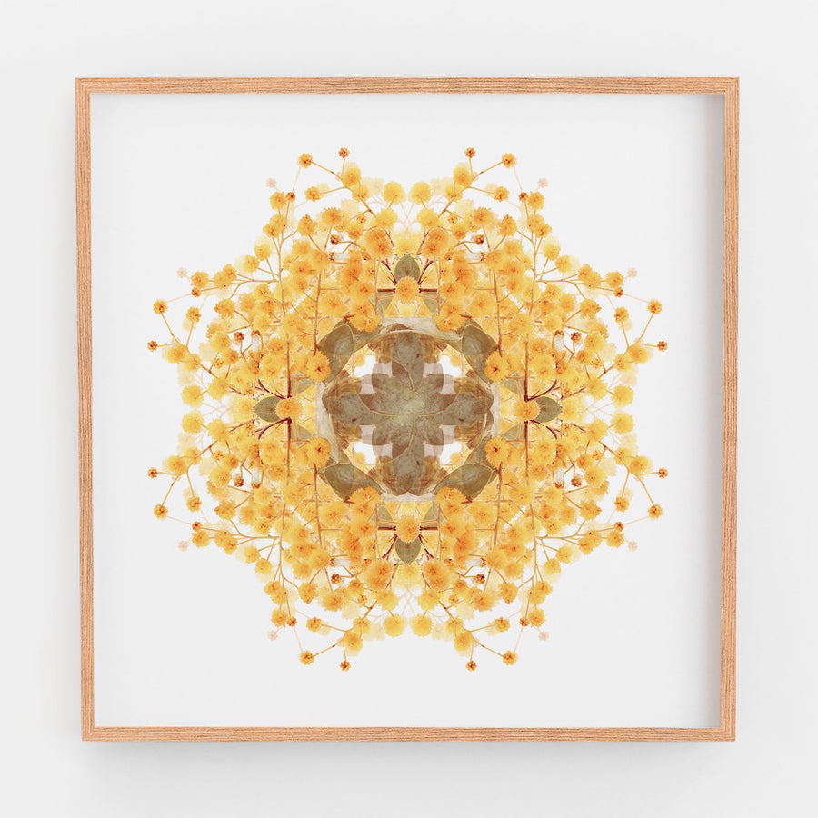 Wattle Flower Pattern | Paper and Flower | Floral Art Print