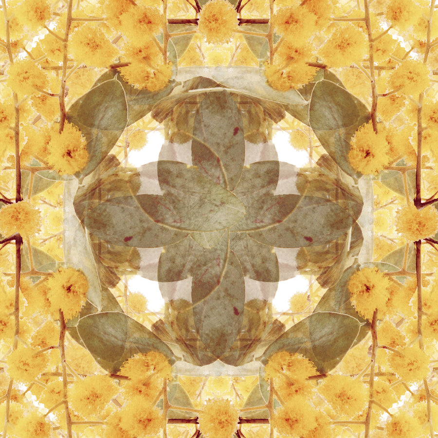 Wattle Flower Pattern | Paper and Flower | Floral Art Print