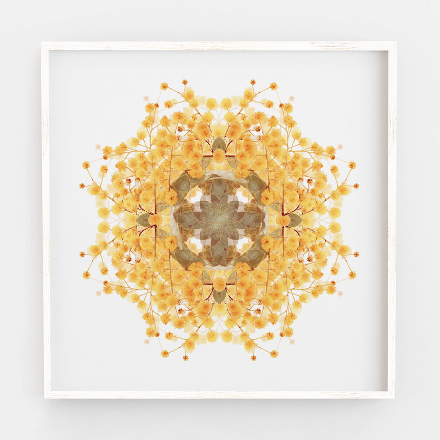 Wattle Flower Pattern | Paper and Flower | Floral Art Print