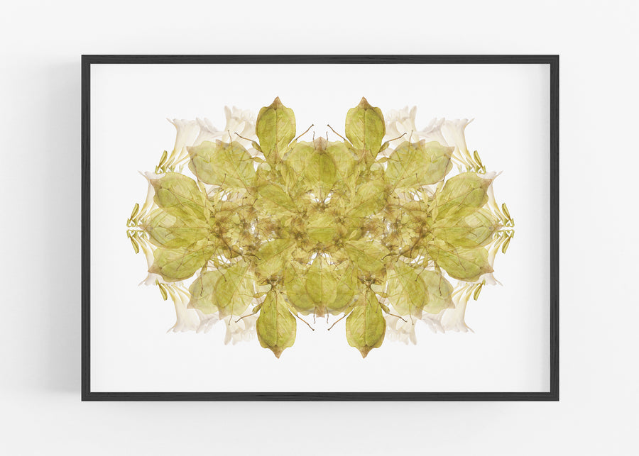 Green Insect Pattern Fine Art Print