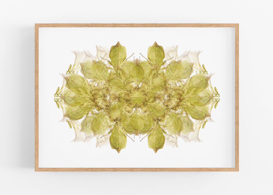 Green Insect Pattern Fine Art Print