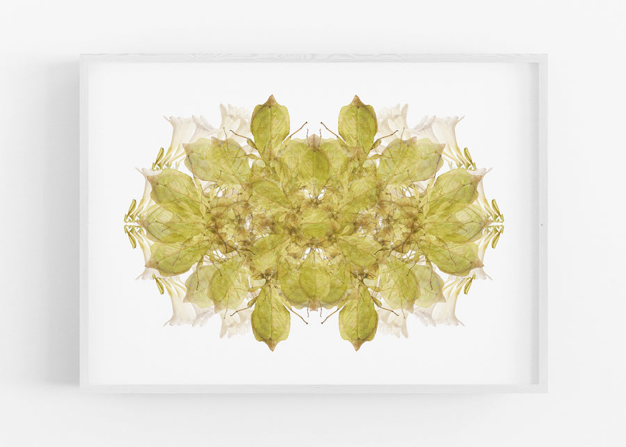 Green Insect Pattern Fine Art Print