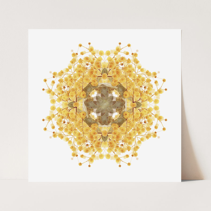 Wattle Flower Pattern | Paper and Flower | Floral Art Print