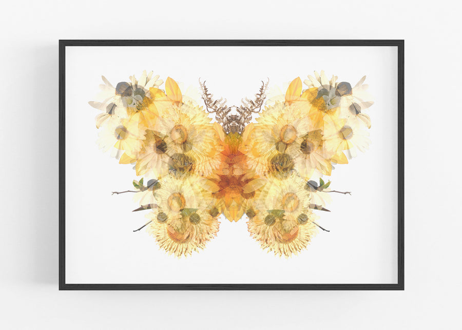 Yellow Floral Butterfly Fine Art Print