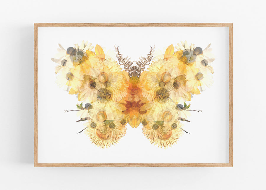 Yellow Floral Butterfly Fine Art Print