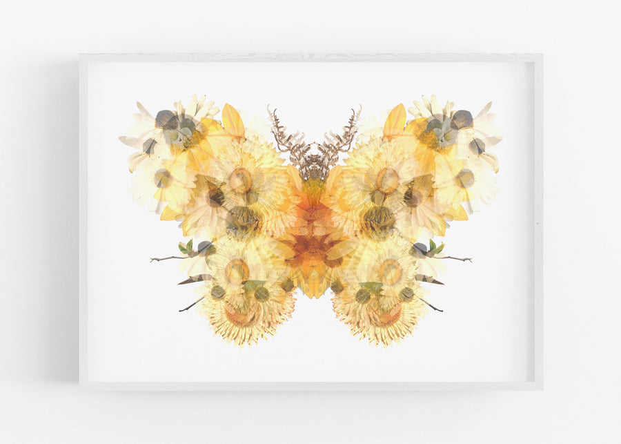 Yellow Floral Butterfly Fine Art Print